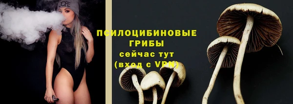 дживик Весьегонск