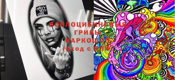 дживик Весьегонск