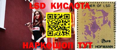 мет Кингисепп