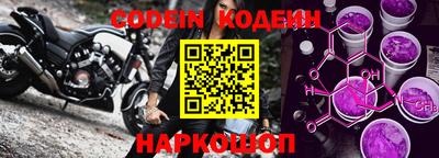 мет Кингисепп